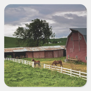 A ride through the farm country of Palouse 4 Square Sticker