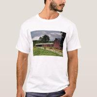 A ride through the farm country of Palouse 4