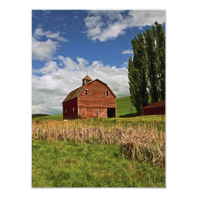 A ride through the farm country of Palouse Photo Print (Front)