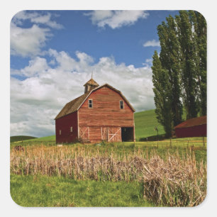 A ride through the farm country of Palouse Square Sticker
