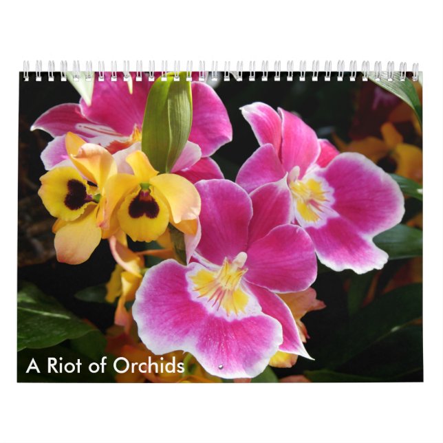 A Riot of Orchids Calendar (Cover)