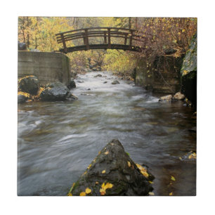 A River Running Through American Fork Canyon Ceramic Tile