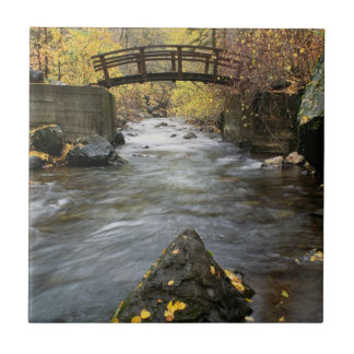 A River Running Through American Fork Canyon Ceramic Tile