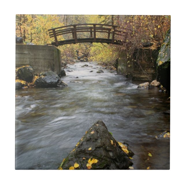 A River Running Through American Fork Canyon Ceramic Tile (Front)