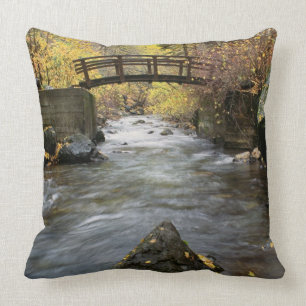 A River Running Through American Fork Canyon Cushion