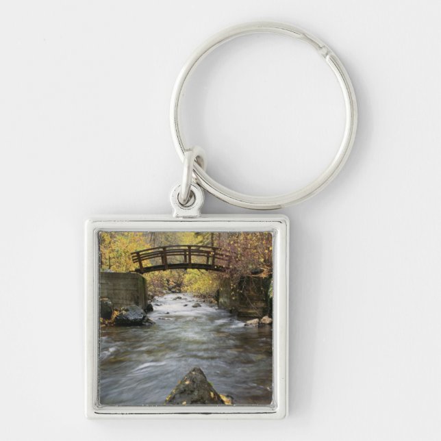 A River Running Through American Fork Canyon Key Ring (Front)