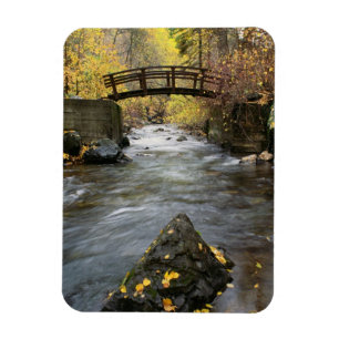 A River Running Through American Fork Canyon Magnet