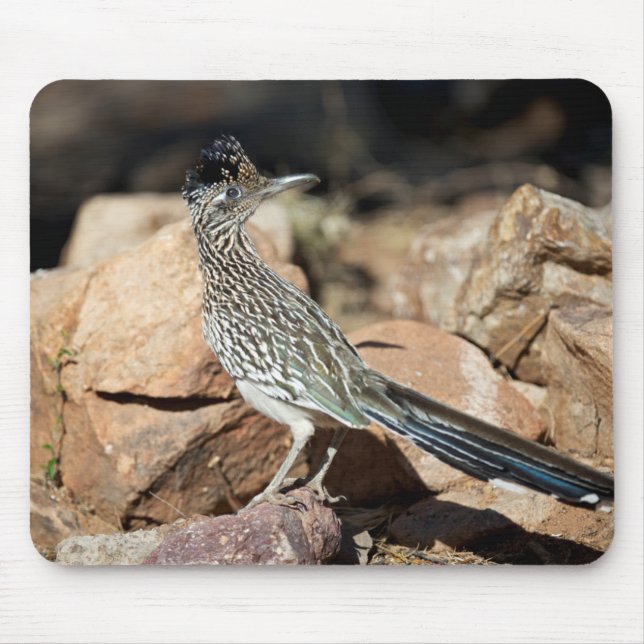 A Road runner pauses momentarily on its search Mouse Pad (Front)
