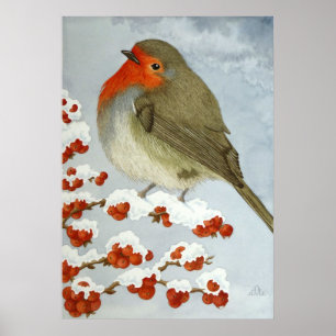 A Robin and berries in the snow Poster