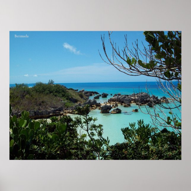 A Rocky Bermuda Cove Poster (Front)
