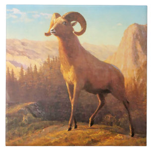 A Rocky Mountain Sheep by A. Bierstadt Ceramic Tile