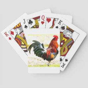 A Rooster Playing Cards