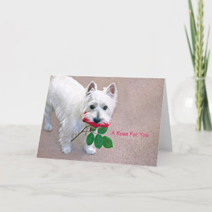 “A Rose For You” all occasion greeting card 