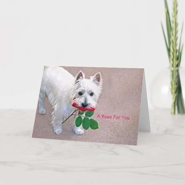 “A Rose For You” all occasion greeting card  (Front)