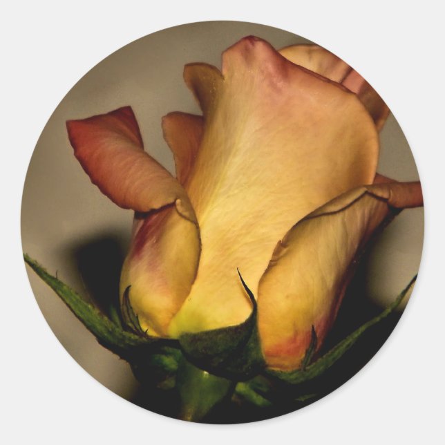 A rose for you sticker (Front)