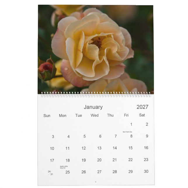 A Rose Garden 2010 Calendar (Jan 2027)