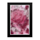 A Rose is a Rose.... on acrylic panel