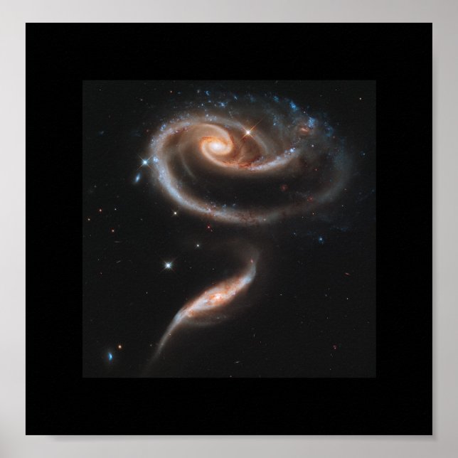 A Rose Made Of Galaxies - Hubble Space Telescope Poster (Front)