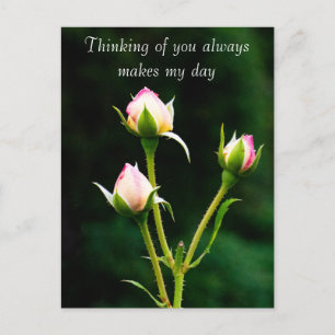 A rosebud flower postcard