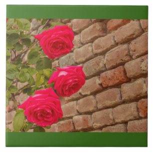 a roses climb on a brick wall ceramic tile