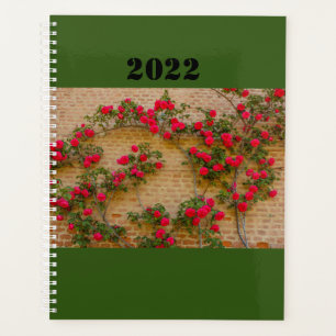 a roses climb on a brick wall on planner
