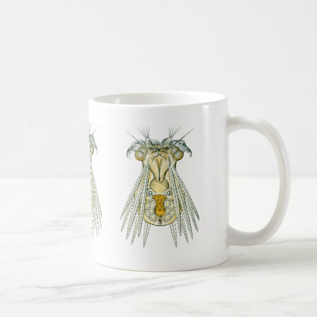 A Rotifer Coffee Mug (Right)