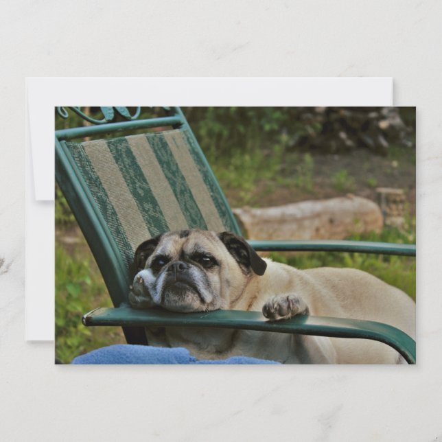 A Rough Life for a Pug (Front)