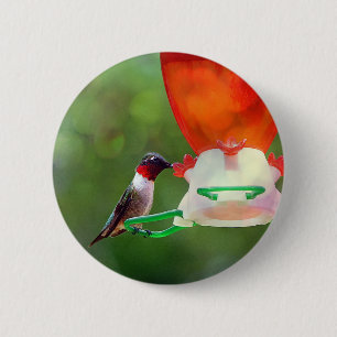 A Ruby Throated Hummingbird 6 Cm Round Badge