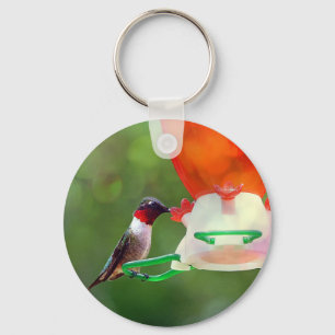 A Ruby Throated Hummingbird Key Ring