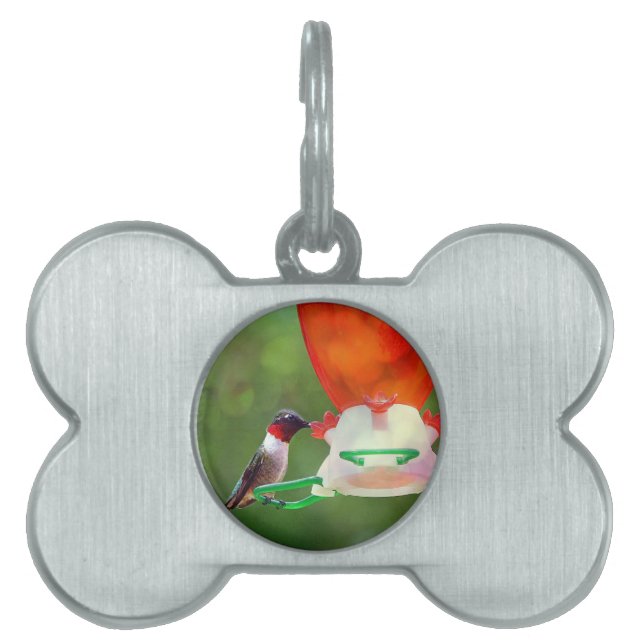 A Ruby Throated Hummingbird Pet ID Tag (Front)