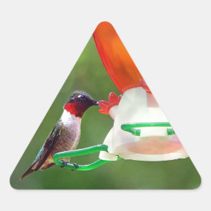 A Ruby Throated Hummingbird Triangle Sticker