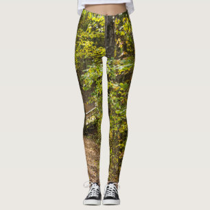 A Runge Pathway Leggings