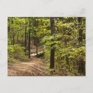 A Runge Pathway Postcard