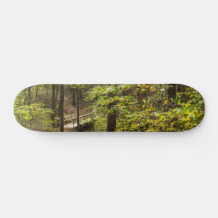 A Runge Pathway Skateboard