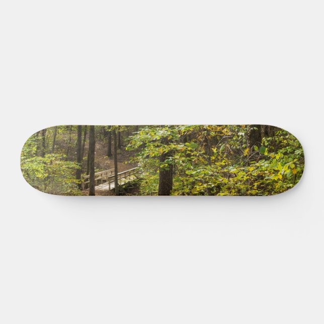 A Runge Pathway Skateboard (Horz)