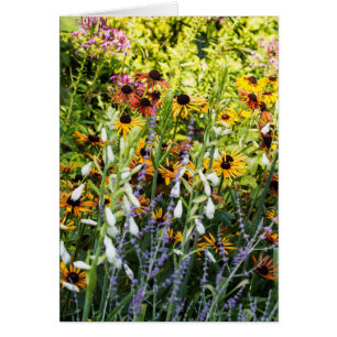A Rush of Colour