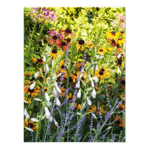A Rush of Colour Photo Print