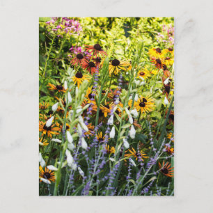 A Rush of Colour Postcard