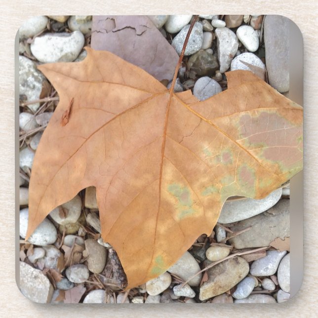 a rusty leaf on pebbles coaster (Front)