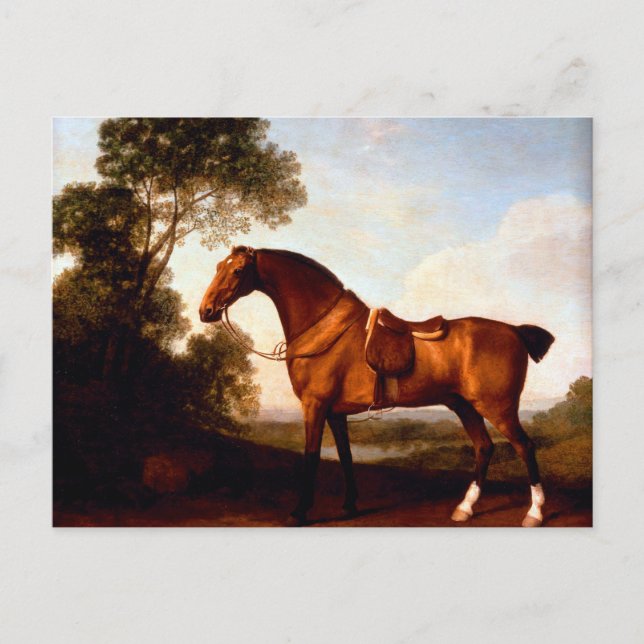 A Saddled Bay Hunter by George Stubbs Postcard (Front)