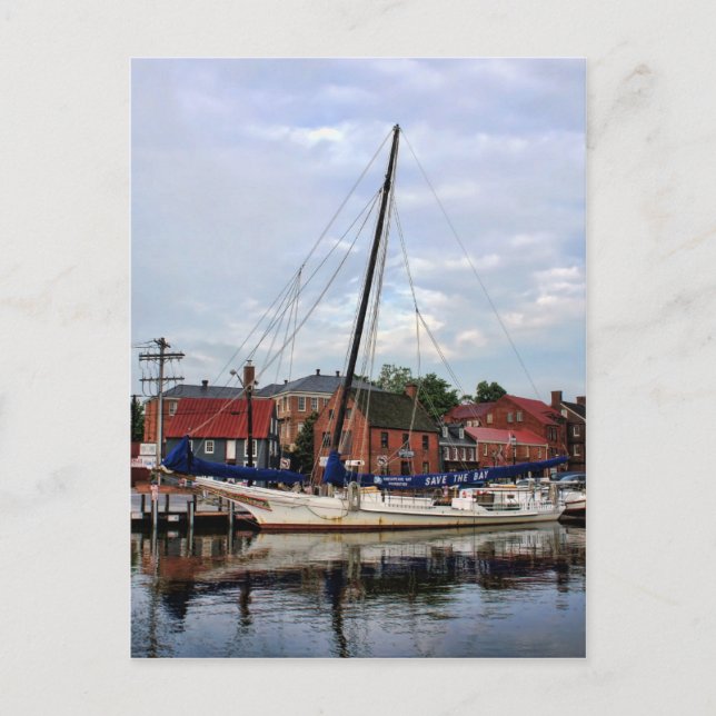 A Sailboat in Annapolis Harbour Postcard (Front)