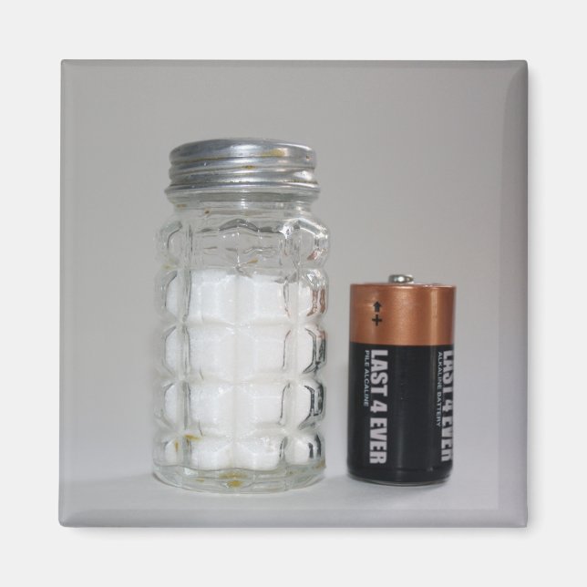 A Salt and Battery Magnet (Front)