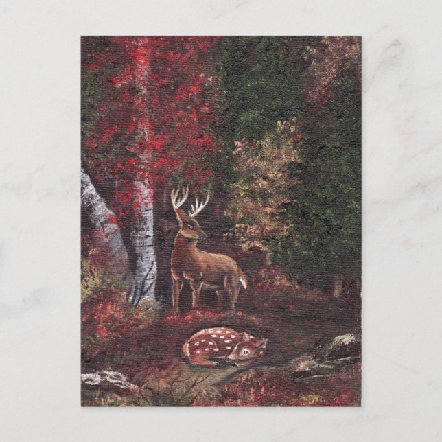 A Sancutary Post Card (Front)