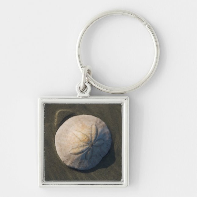 A Sand Dollar On The Beach Key Ring (Front)