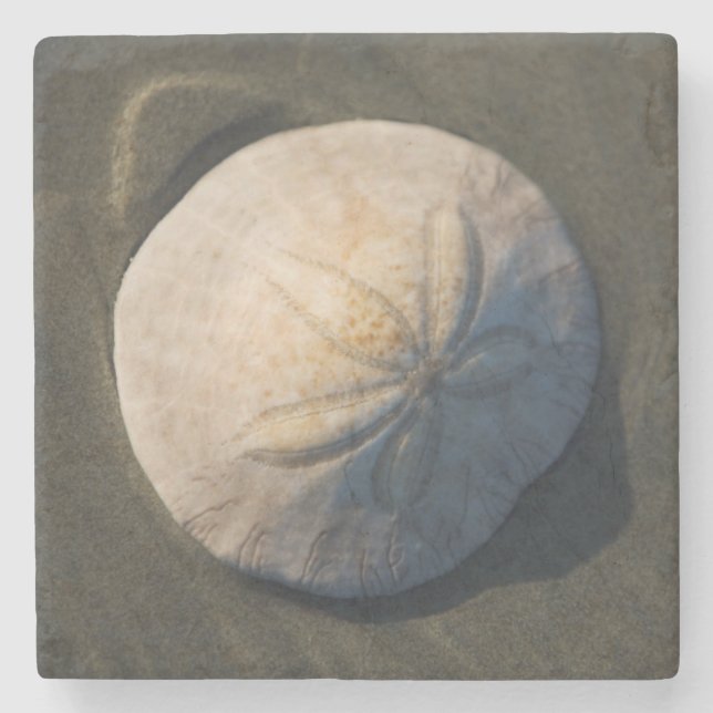 A Sand Dollar On The Beach Stone Coaster (Front)