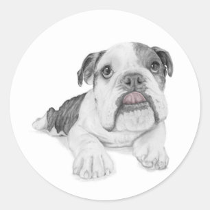 A Sassy Bulldog Puppy Classic Round Sticker