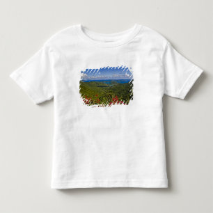 A scenic of Cruse Bay, St. John U.S Virgin Toddler T-Shirt