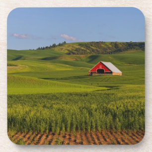 A scenic view of a barn in Moscow Idaho. Coaster
