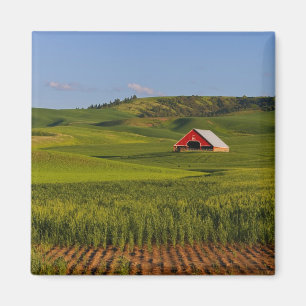 A scenic view of a barn in Moscow Idaho. Magnet