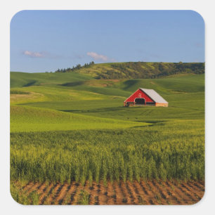 A scenic view of a barn in Moscow Idaho. Square Sticker